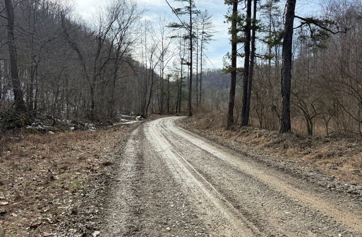 005 Laurel Fork Road leading into the property from the west side