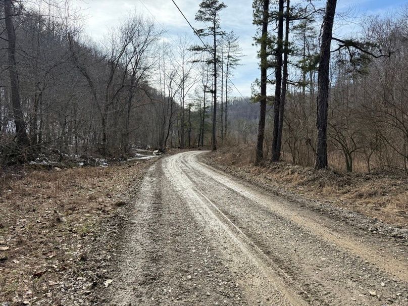 005 Laurel Fork Road leading into the property from the west side
