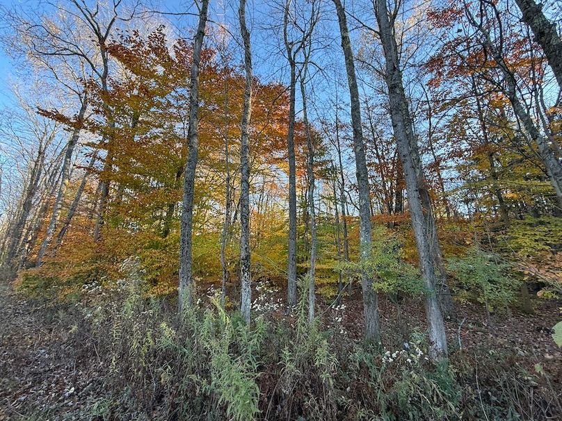 Oswego_26.28_Koehler Photo 37