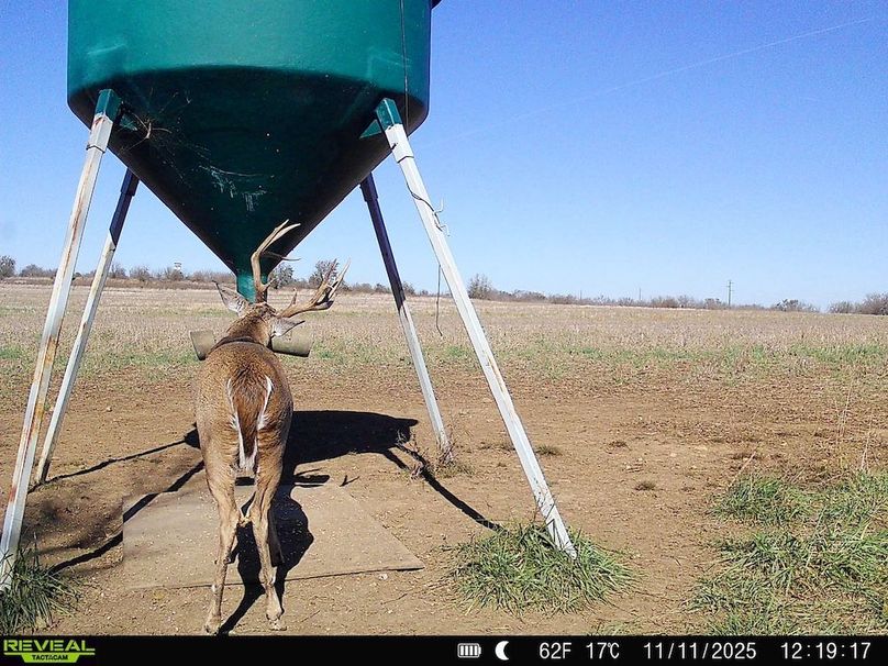 860516064952926-70-3-11122025052654-HD-SYFW0202