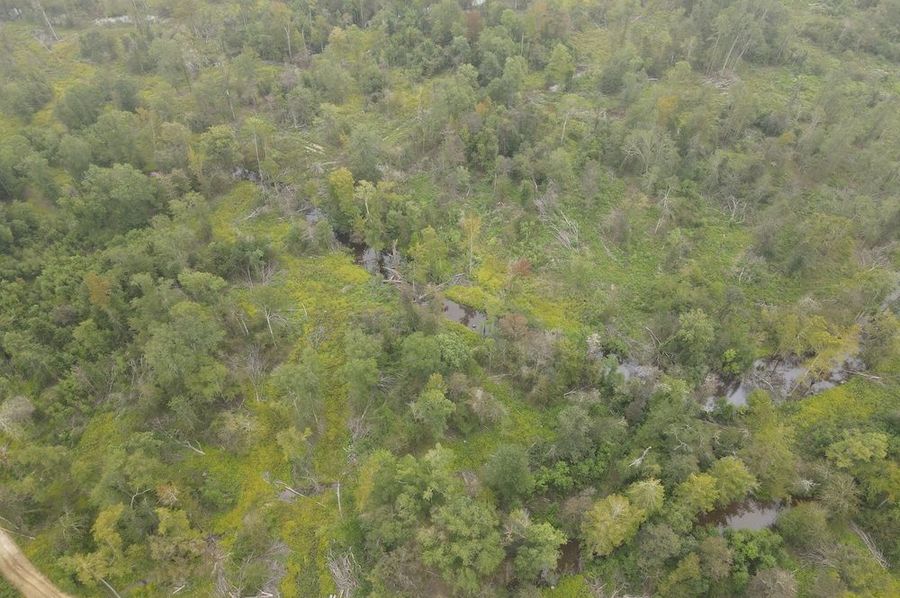 dji_fly_20240917_112654_289_1726590427349_photo