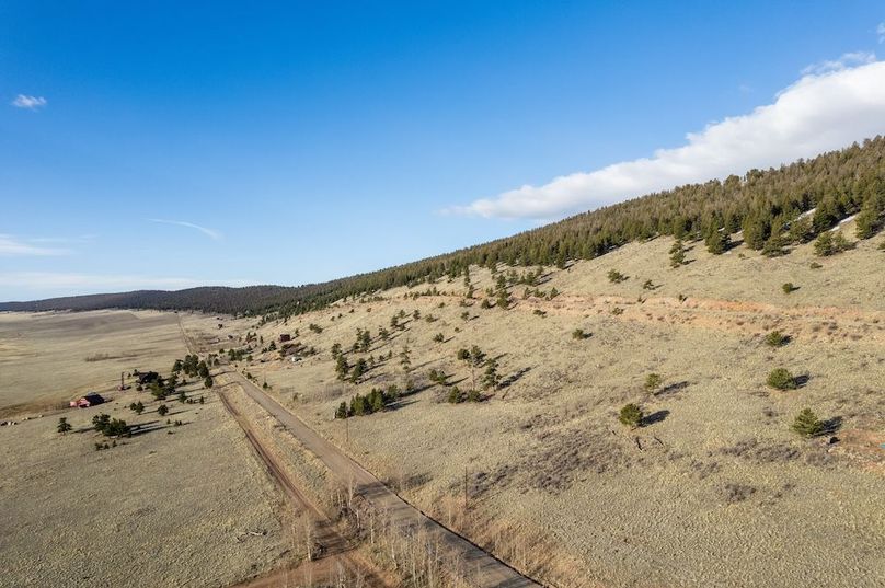 Park Co 3.0 Land Buff LLC - 020 Forest View