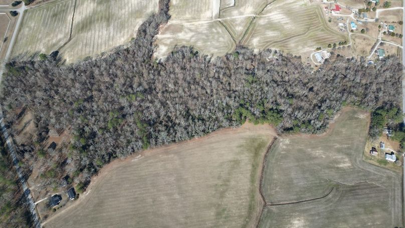 DJI_0061
