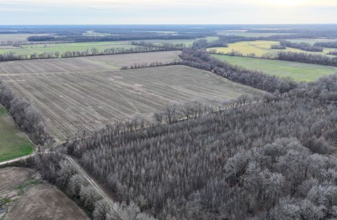 Phillips 8.5 Trahan -02