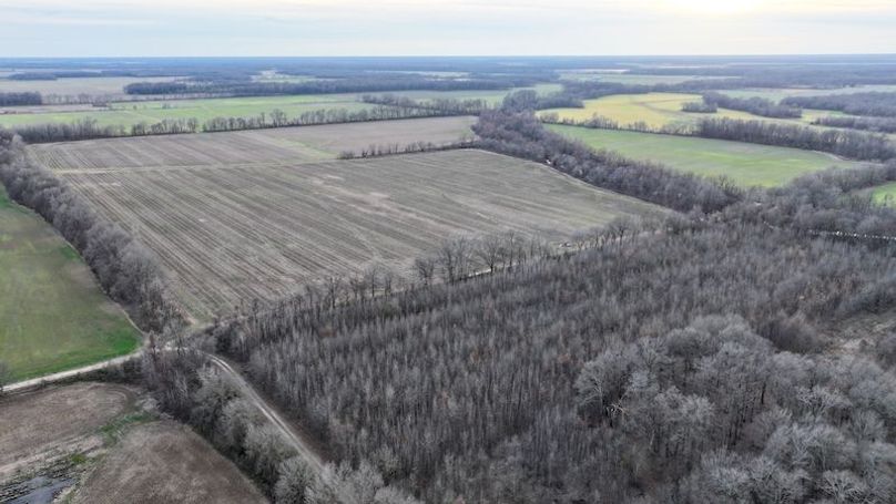 Phillips 8.5 Trahan -02