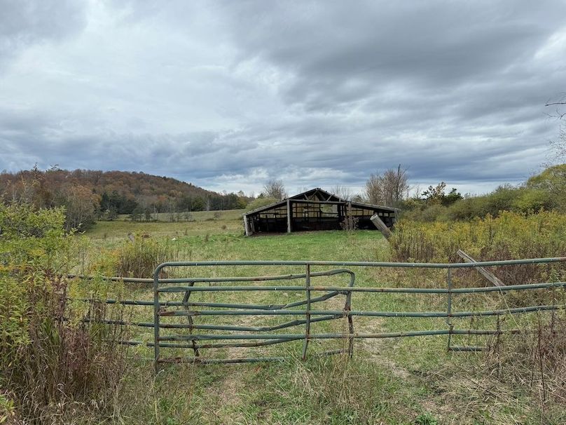 Chemung_184.12_Sterling 40