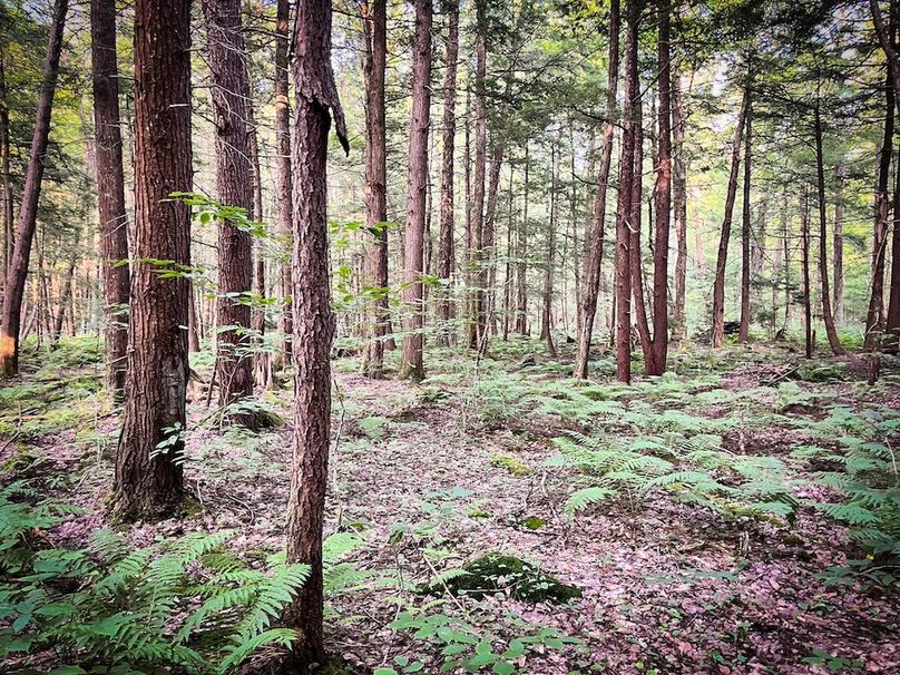 Oswego_25.66_Pettit_Photos_48