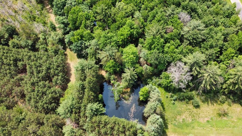 dji_fly_20230610_115102_588_1686416624779_photo_optimized