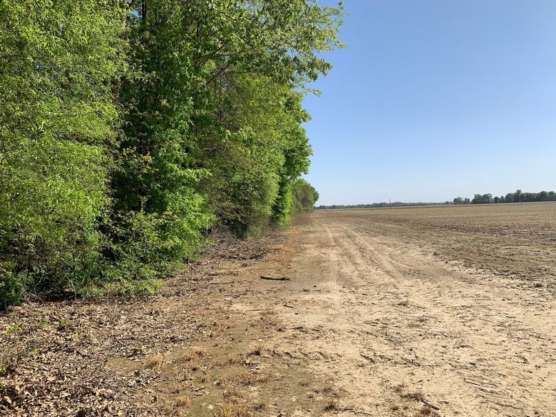 7C45E629-8A5B-49A1-BF33-89B9B9F14008_1_102_o