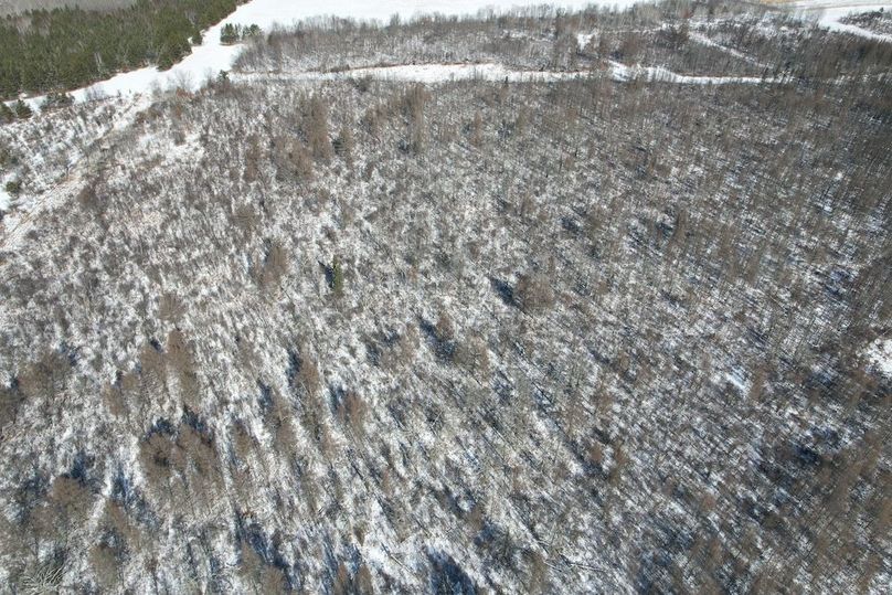 dji_fly_20260311_115444_110_1773248421111_photo (1)