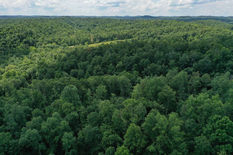 012 aerial drone shot from the eastern portion of the property looking to the west across the forested portion
