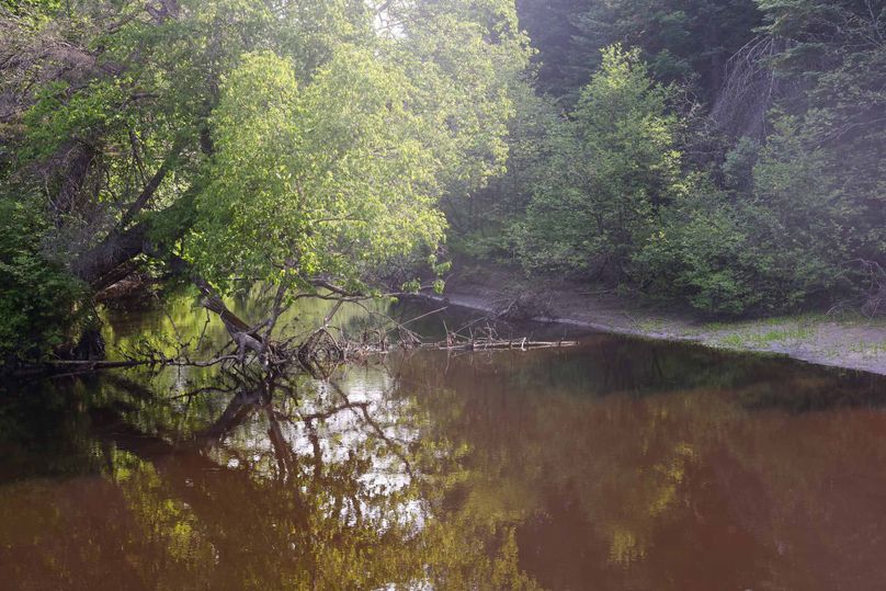 Chippewa85Knowles-5728