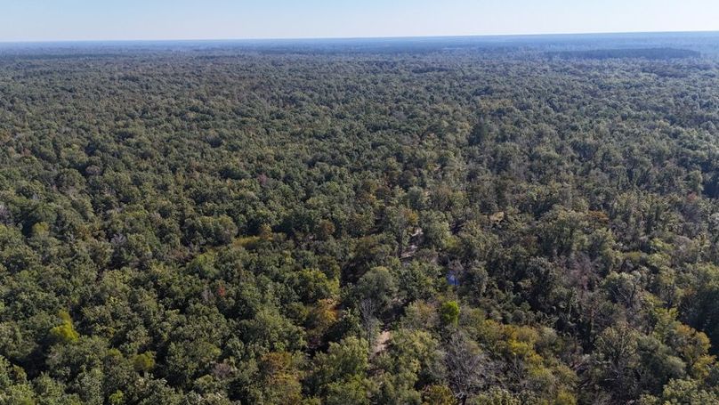 Copy of dji_fly_20251014_234222_0052_1760476879410_photo