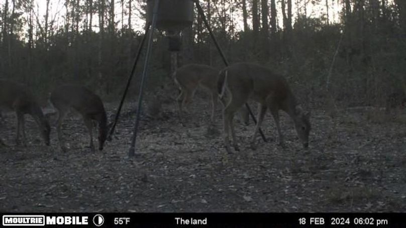 image638476364498870760