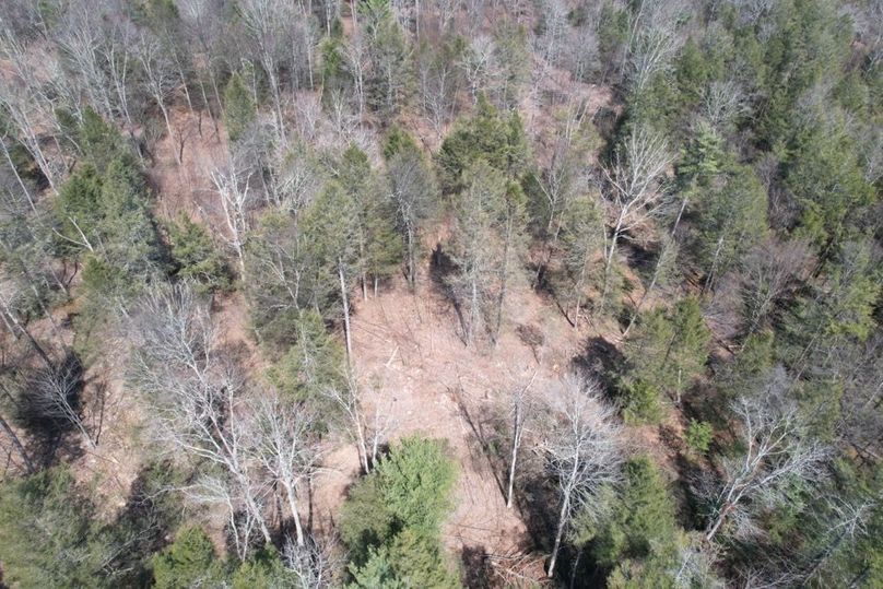 dji_fly_20260330_124910_562_1775656596231_photo