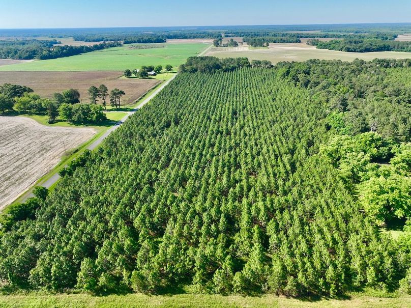 dji_fly_20240521_094426_369_1716299360610_photo