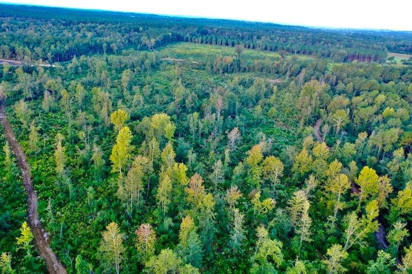 420A0ACB-097E-44B2-B253-A9A92357DE9B_1_105_c