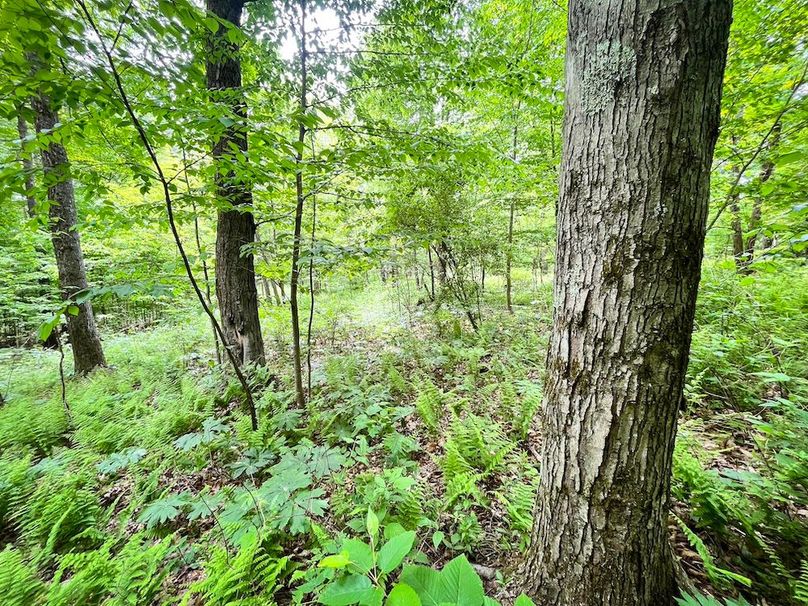 Tioga_31.4_Kemp_Photos_28