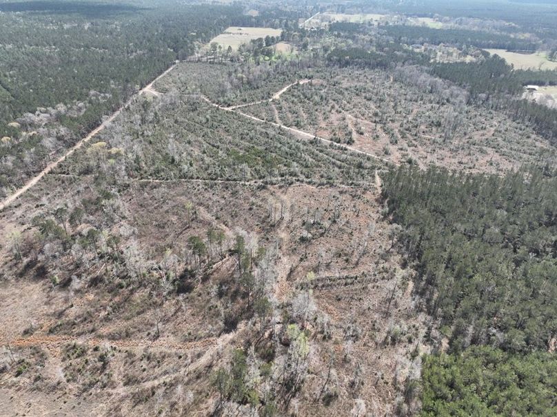 dji_fly_20260303_140430_308_1772637898689_photo