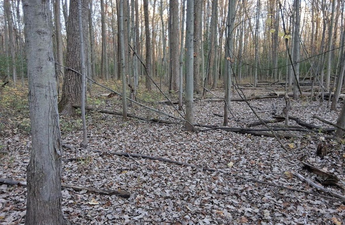 2b 2070608520069892330