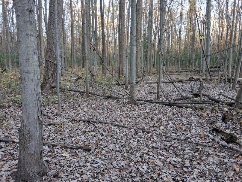 2b 2070608520069892330