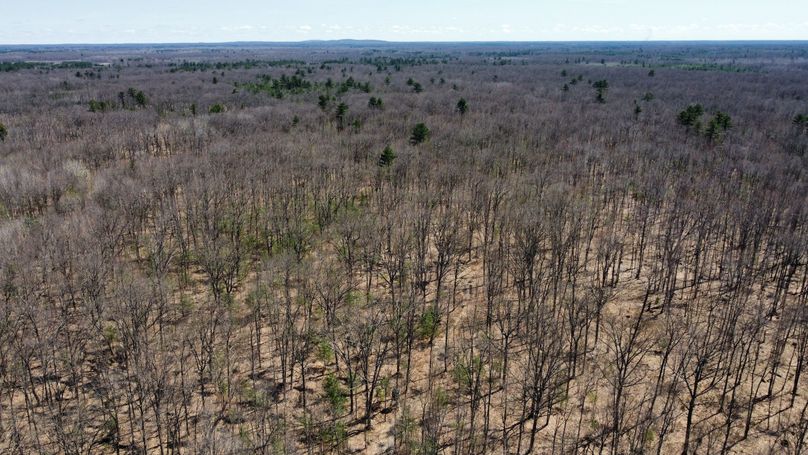 dji_fly_20230503_115224_356_1683230750140_photo_optimized