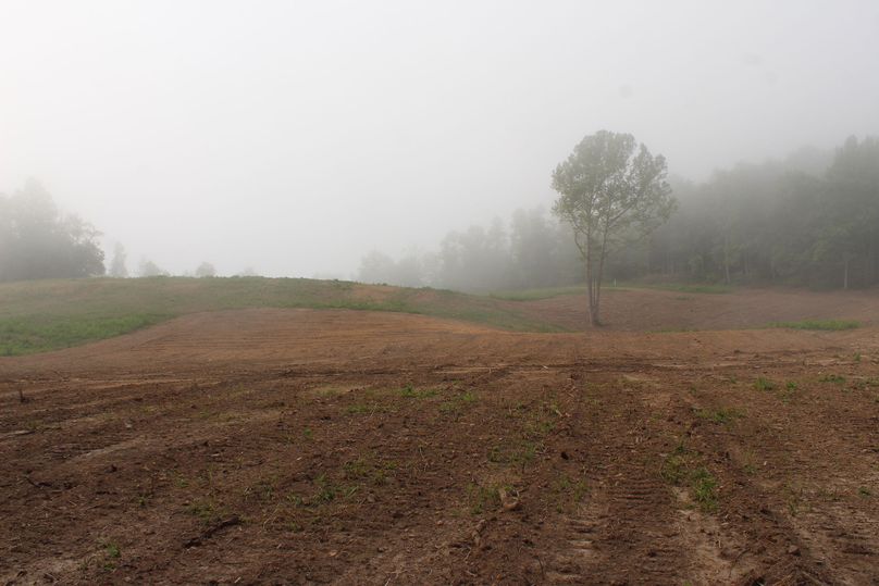 014 love that morning fog sitting in the creek valley