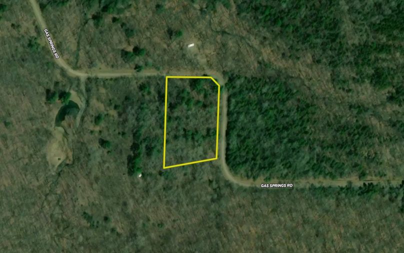 Acreage Near Multiple State Forests Whitetail Properties