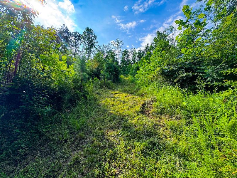 Lewis, WV 82.87 AC Barger-101