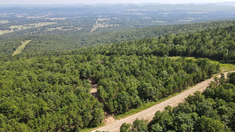 dji_fly_20230624_155534_916_1687640196678_photo