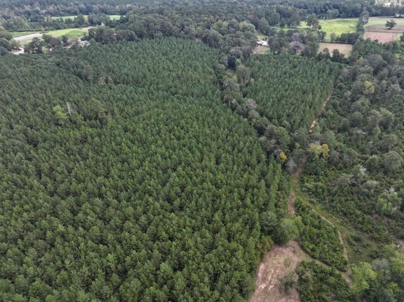 dji_fly_20250915_142538_0454_1758029017587_photo