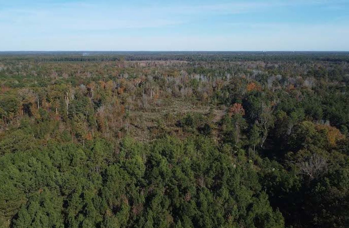 Jeff 11720251111_0184