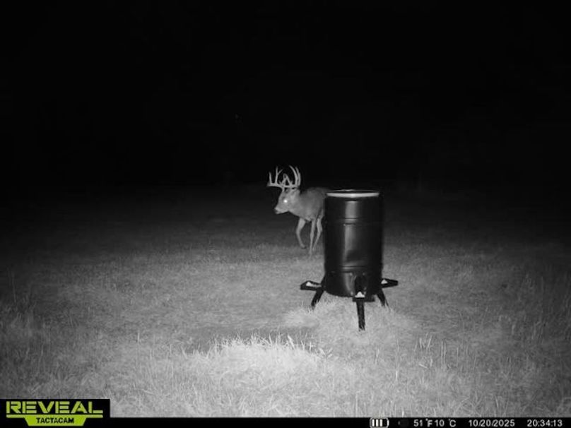 865509050128614-60-4-10202025203423-W1028775