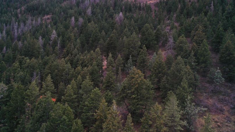 DJI_0697