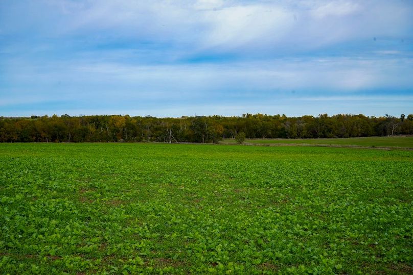 Dickinson Co, 154.5_070