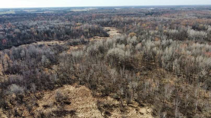 dji_fly_20230413_105604_342_1681401655887_photo_optimized