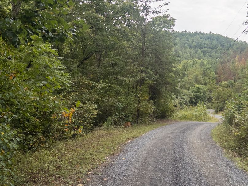 03_13.39_Alleghany_VA