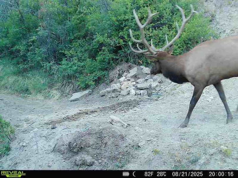 860516063676799-100-3-08212025200016-V-W1000195