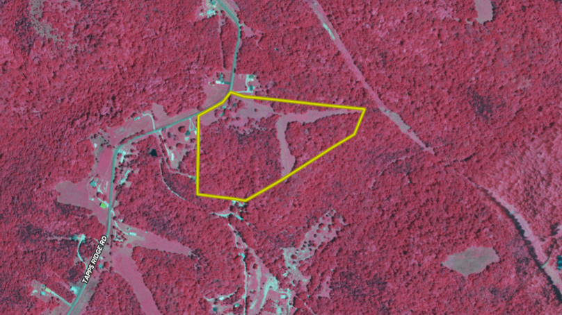 Screenshot 2024-07-26 115649