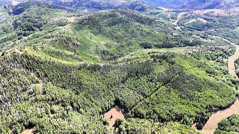 DJI_20250726165419_0062_D