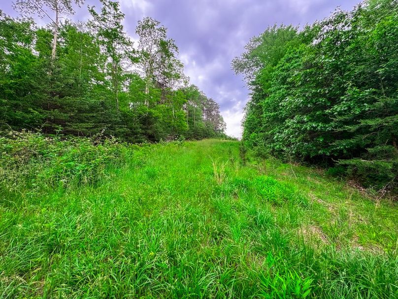 Tyler, WV 313.87 AC -26
