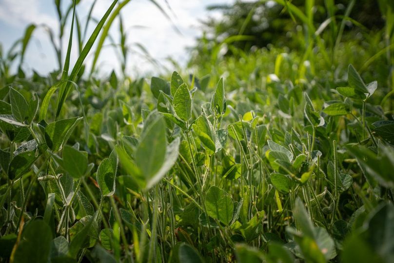 MCHENRY 32 RECENT UPDATES-26