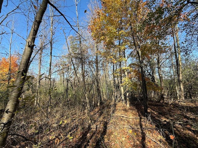 Wayne_18.11_Koehler Photo 27