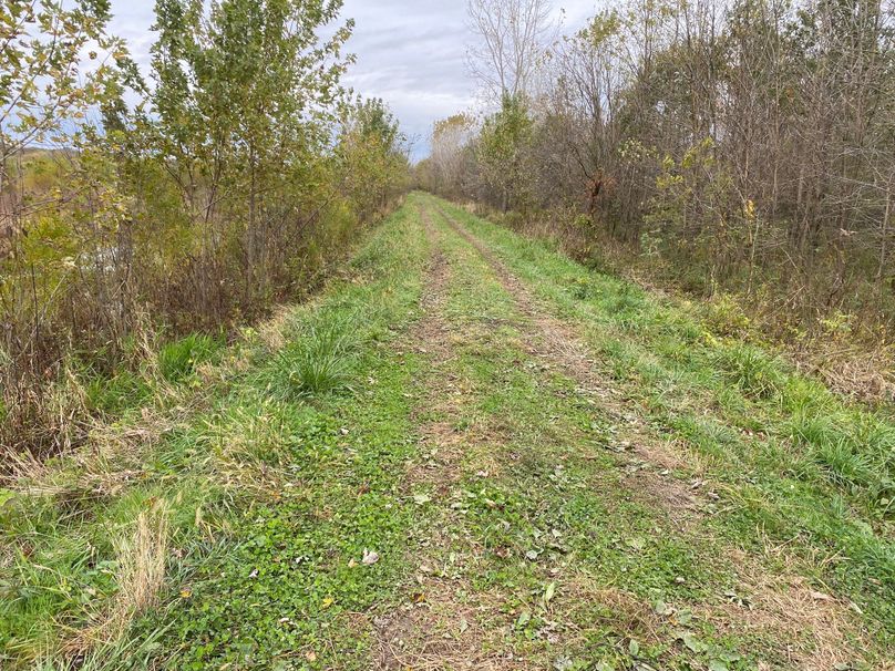 pics from late 2021 and early 2022. New plots being planted in Aug 2023 for new pics (41)