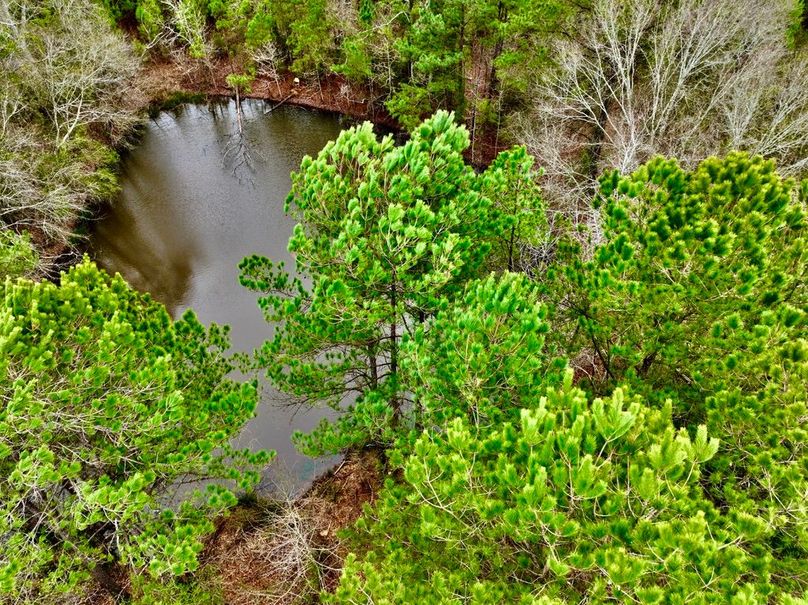 7C3B7427-A7CE-4885-9143-4E63AE9654DC_1_105_c