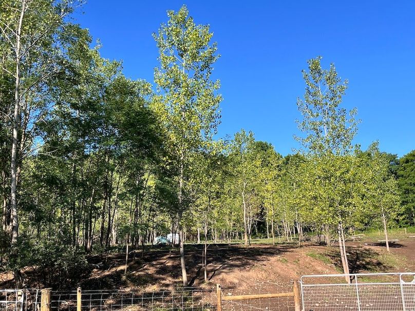 Ontario_19.1_Schmucker_Photos_24