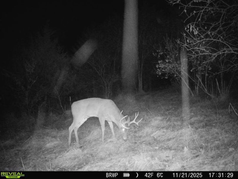 860322065924133-100-4-11212025173128-W1001287