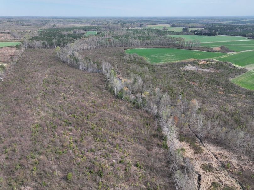 DJI_20260303062657_0515_D