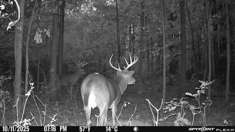 Copy of 04548257-5DF8-4EF3-8F7A-1B201ACD83EB