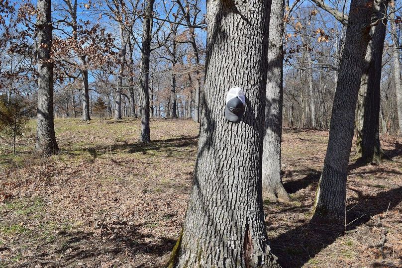 DSC_0263_inPixio (2)